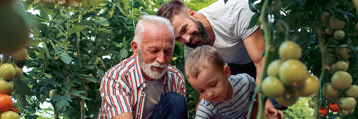 Iowa Life insurance coverage